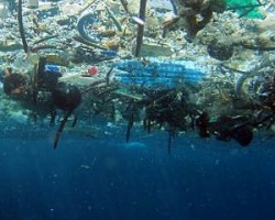 Pacific plaque de déchets