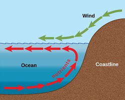 upwelling in the ocean