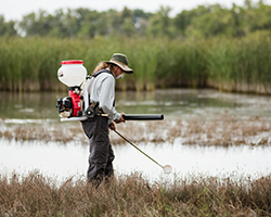 Someone spraying larvicide on a small body of water