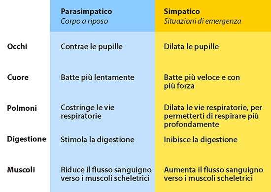 reazione del sistema simpatico e aparsimpatico