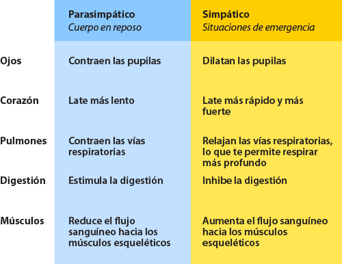 reaction of sympathetic and aparsympethetic system