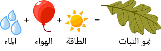 Water, Air (CO2), energy are needed for plant mass.