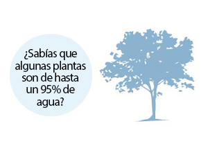 Arbol hecho de agua