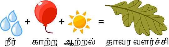 Water, Air (CO2), energy are needed for plant mass.