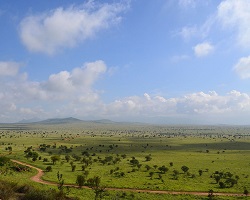 Savanna LUMO Community Wildlife Sanctuary, Kenya