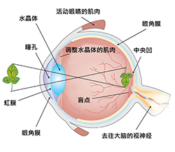 Eye diagram