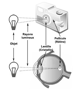 Caméra et yeux