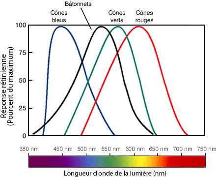 visible light wavelengths