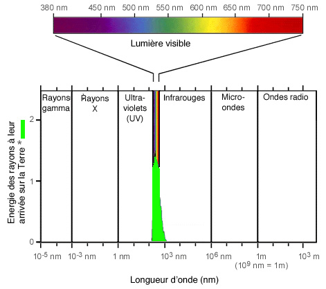 light chart