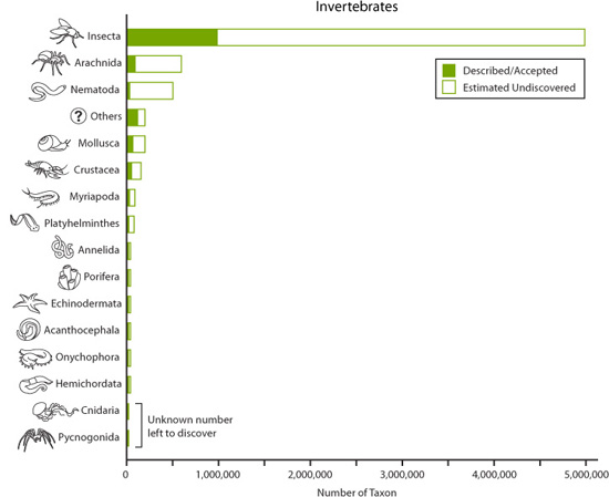 Graph of Invertebrates