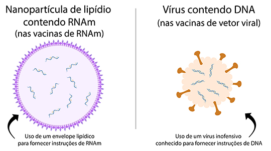 mRNA vaccine versus viral vector vaccine