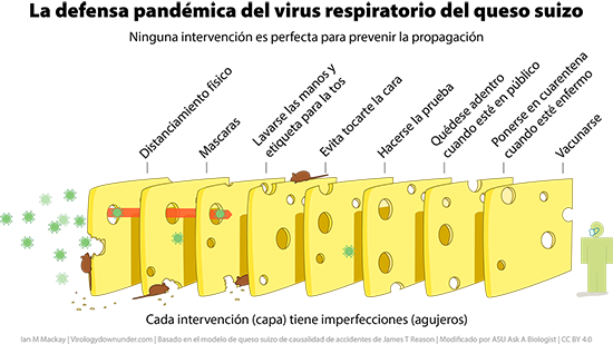 The swiss cheese model for COVID-19