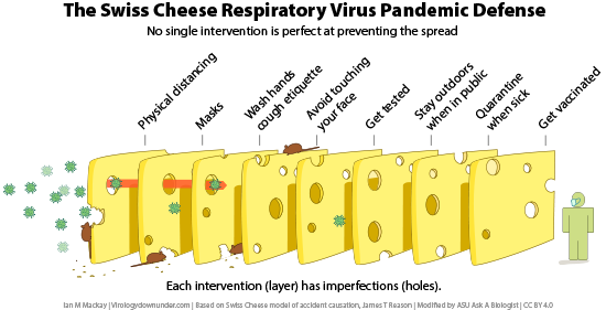 The swiss cheese model for COVID-19