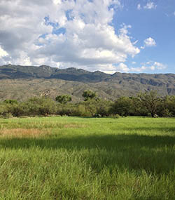 La Cebadilla Cienega