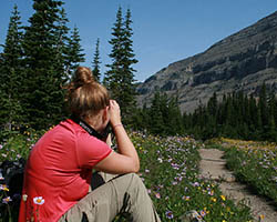 Citizen science mountain goat survey