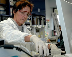 Scientist working in lab