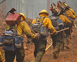 A line of wildland firefighters, also known as "hotshots" carrying equipment through a smoldering forest