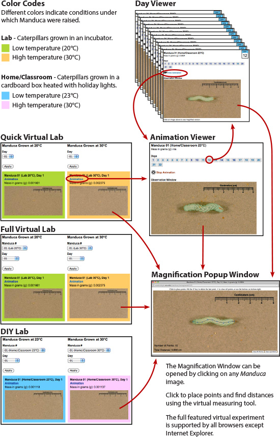 Experiment overview