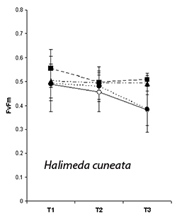 Temperature affected photosynthesis in one species of algae