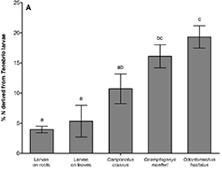 Graph of Nitrogen isotope in larvae