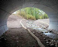 Wildlife crossing culvert