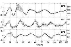 A graph showing that this species of glowing mushroom has a circadian rhythm.