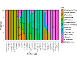 Chart showing how gestures relate to ASOs.