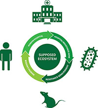 proposed transmission cycle