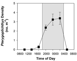 A line graph with time on the x axis and fish volume on the y axis. The line stays close to 0 at all points during the day except for 8 pm, 12 am, and 4 am, where the numbers rise sharply.