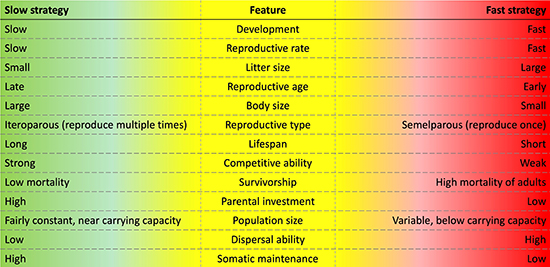 A chart showing slow and fast life history features