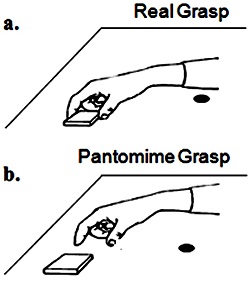 Real versus pantomimed grasp for magic trick