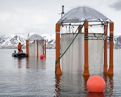 Marine mesocosms