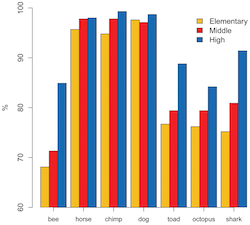 Animal brains graph