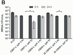 Bacterial killing ability of clay