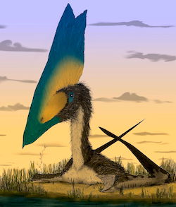 Pterosaur illustration