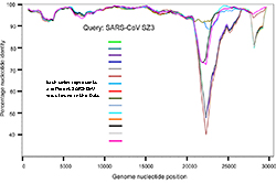 Graph showing similarity of SARS-CoV viruses found in bats