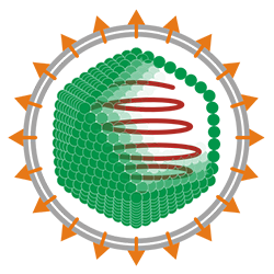 Virus diagram