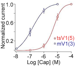 Graph of calcium current