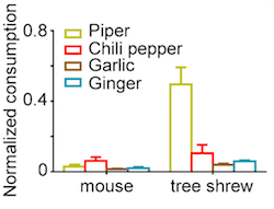 Food choice graph