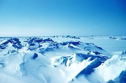 A snowy tundra. The foreground shows many small hills, while the right side of the image and the background are flat and snow covered.