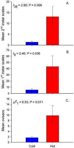 Bar plots showing that there were far more oak scales growing on hot trees than there were growing on colder trees 