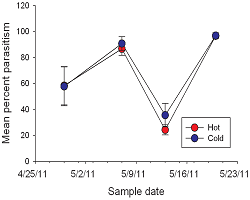 The graph shows the percentage of oak scale larvae living on hot (red) and cold (blue) trees that were infected by parasites, on four different days in the summer. 