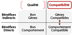 Fig. 2. Il y a quatre différents types de bénéfices que l’on peut obtenir en choisissant son partenaire.