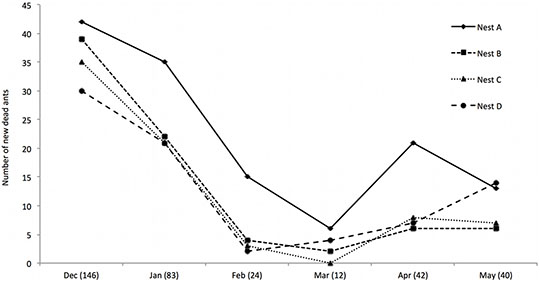 Dead ant graph