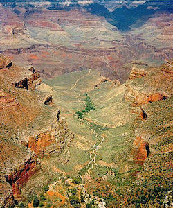 the grand canyon