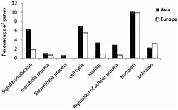 Graph of positive selection of Asian and European bacterial genes