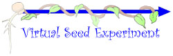 virtual seed experiment link