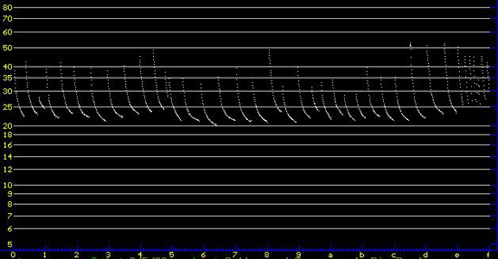 bat sonogram