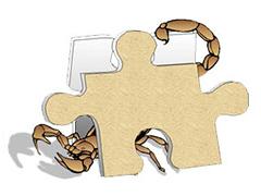 a scorpion behind a puzzle piece