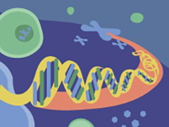 An illustration of DNA inside a cell